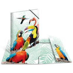 Map met elastieken exotische dieren A4 vogels