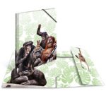 Chemise à élastiques Animaux exotiques, A4, singes