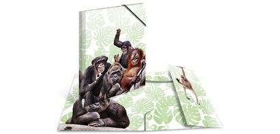 Chemise à élastiques Animaux exotiques, A4, singes