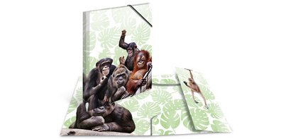 Chemise à élastiques Animaux exotiques, A4, singes
