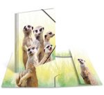 Chemise à élastiques Animaux exotiques, A4, suricates