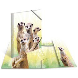 Chemise à élastiques Animaux exotiques, A4, suricates