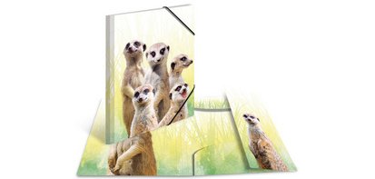 Chemise à élastiques Animaux exotiques, A4, suricates