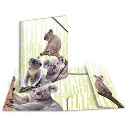 Chemise à élastiques Animaux exotiques, A3, koalas