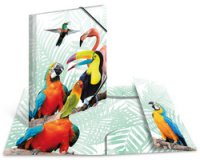 Chemise à élastiques Animaux exotiques, A3, oiseaux