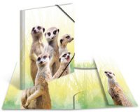 Chemise à élastiques Animaux exotiques, A3, suricates