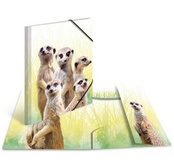 Chemise à élastiques Animaux exotiques, A3, suricates