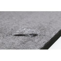 Schoonloopmat EAZYCARE BASIC, 800 x 600 mm