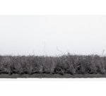 Tapis anti-salissure EAZYCARE BASIC, gris foncé