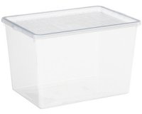 Plast team Boîte à chaussures BASIC BOX, High Heels