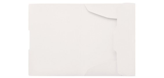 Chemise à rabats GREENline Ginkgo, A4