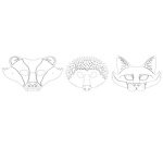 Masques pour enfants 'Animaux de la forêt', blanc