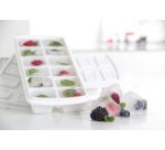 Bac à glaçons, avec couvercle