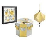 Folia carton photo