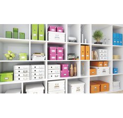 Click & Store WOW Cube L Storage Box, Mint
