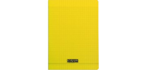 Cahier 8000 POLYPRO, 210 x 297 mm, assorti