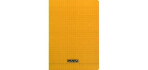 Cahier 8000 POLYPRO, 210 x 297 mm, orange