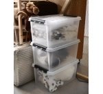 SmartStore Boîte de rangement CLASSIC 46 L, 46 litres