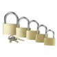 <strong>Brass padlock with key, 20 mm</strong>