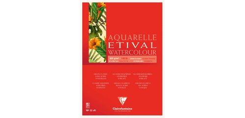 Etival bloc collé 1 côté 10F A4 300g grain classic
