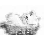 Dessin Croquis rame 250F A4 160g