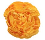 Seidenpapier, (L)500 x (H)750 mm, Goldgelb