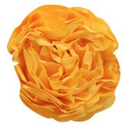 Zijdepapier B 500 x H 750 mm geel goud