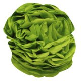 Clairefontaine tissue paper 50x75cm 8 sheets - apple green