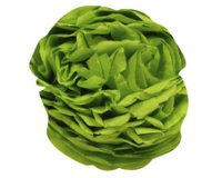 Clairefontaine tissue paper 50x75cm 8 sheets - apple green