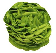 Clairefontaine tissue paper 50x75cm 8 sheets - apple green