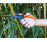 Ressort de rechange pour sécateur avec système