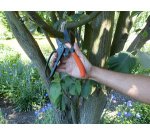 Ressort de rechange pour sécateur avec système