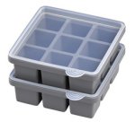 Bac à glaçons avec couvercle, transparent / gris