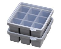 Bac à glaçons avec couvercle, transparent / gris