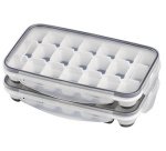 Bac à glaçons avec couvercle, transparent / gris