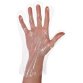 Handschuh LDPE "Polyclassic Soft" transparent - Packung mit 100 Handschuhen