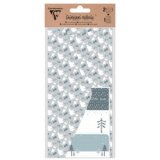 ENVELOPPES CADEAUX, Set de 2 enveloppes au format DL (11x22cm) - Noël polaire - Multicolore
