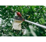 Cueille-fruits, à manche télescopique, argent/orange