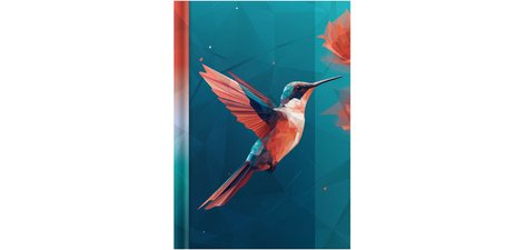 Notebook 'Colibri', A5, 96 sheets