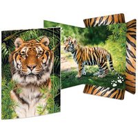 Carton à dessin 'Renard', carton, A3