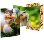 Carton à dessin 'Léopard des neiges', A3