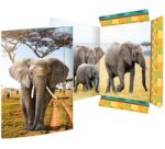 Carton à dessin 'Léopard des neiges', A3