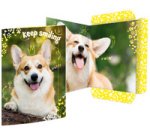 Carton à dessin 'Léopard des neiges', A3