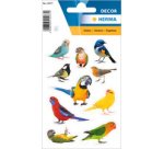 Sticker DECOR 'Oiseaux', en papier