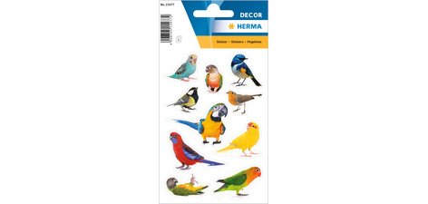 Sticker DECOR 'Oiseaux', en papier
