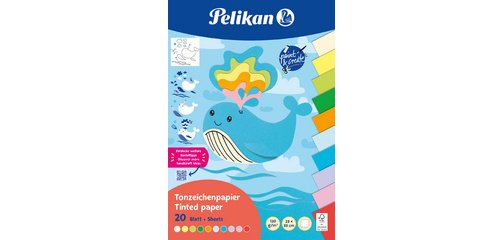 Bloc de papier à dessin Rainbow, 230 x 330 mm