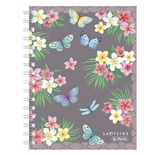 Carnet à spirales Ladylike 'Butterflies', A5