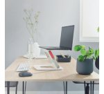 Support pour ordinateur portable Ergo