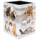 Corbeille à papier 'Chats', carton
