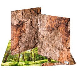 Chemise à élastiques 'Nature', A3, carton, Wood